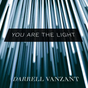 You Are The Light by Darrell Vanzant