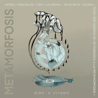 Metamorfosis by BIRD