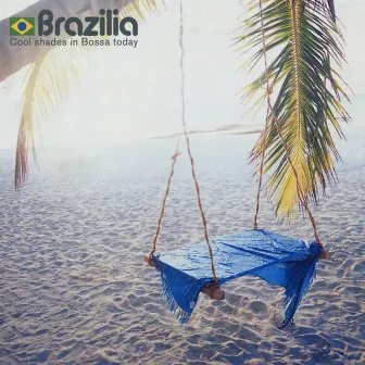 Brazilia - Cool Shades in Bossa Today by Michel Roche