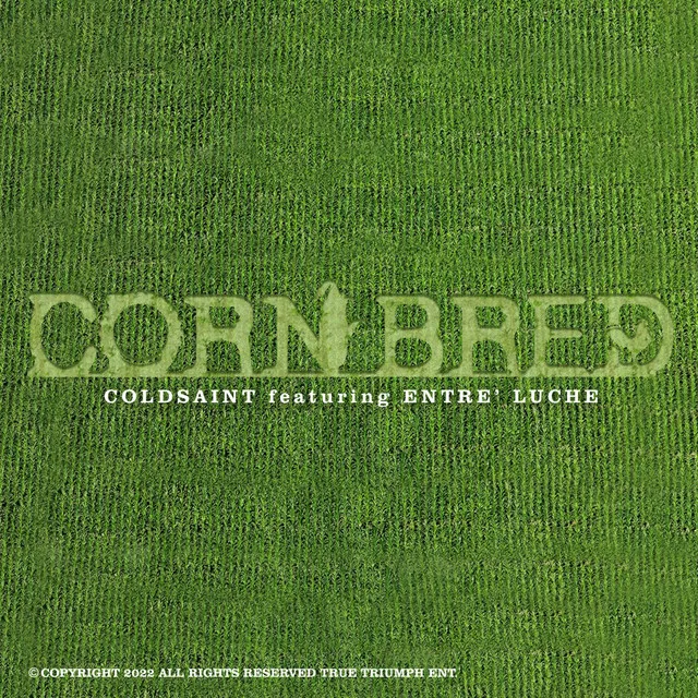 Cornbread Corn-Bred