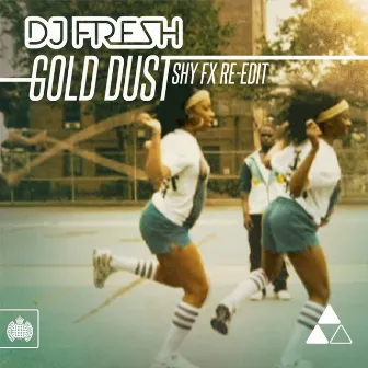 Gold Dust (Shy FX Re-Edit) by DJ Fresh