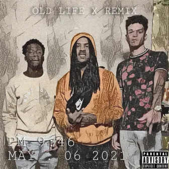 Old Life by Griff