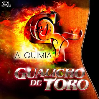 Alquimia by GUALICHO DE TORO