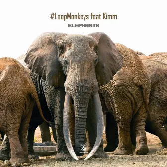 Elephants by #LoopMonkeys