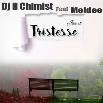 Joie et tristesse by DJ H Chimist