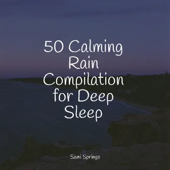 50 Calming Rain Compilation for Deep Sleep by Nature Sound Collection