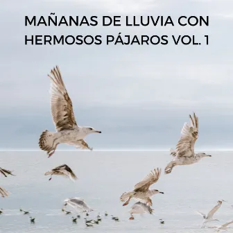 Mañanas De Lluvia Con Hermosos Pájaros Vol. 1 by Pájaros Escandinavos