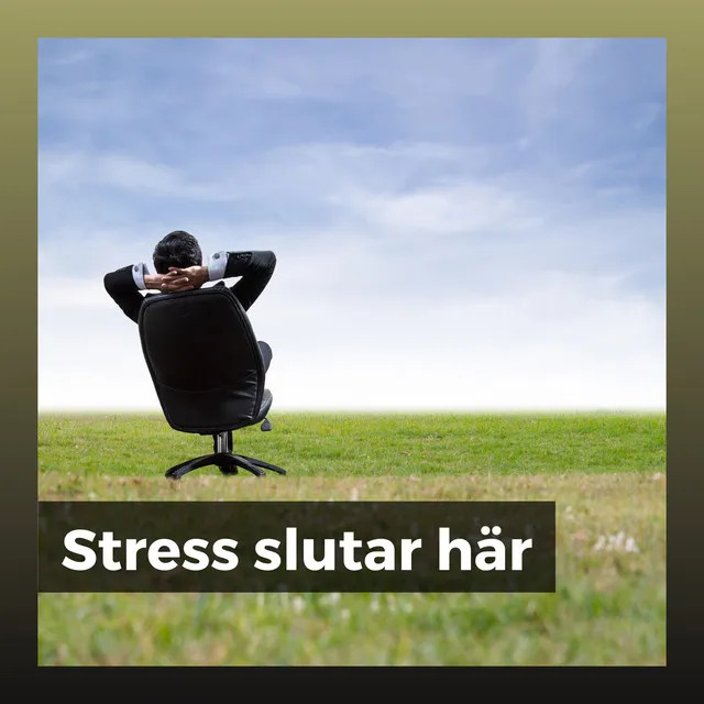 Stress slutar här