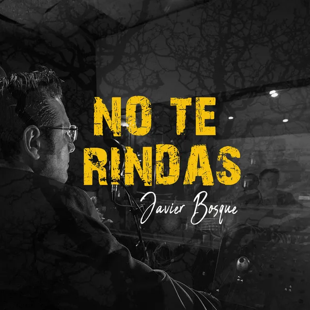 No te rindas