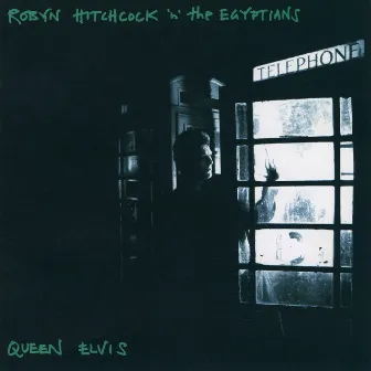 Queen Elvis by Robyn Hitchcock & The Egyptians