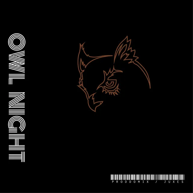 Owl Night