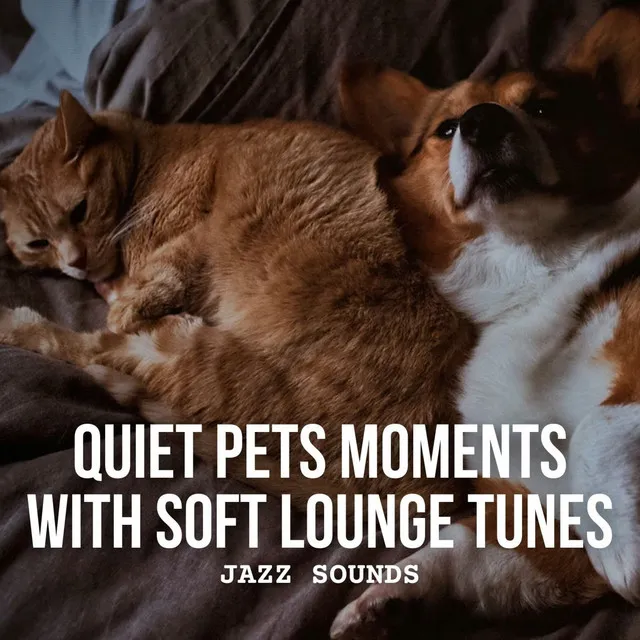 Jazz Sounds: Quiet Pets Moments with Soft Lounge Tunes