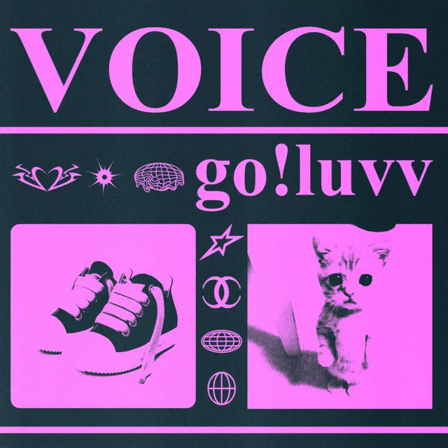 VOICE