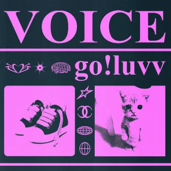 VOICE by go!luvv