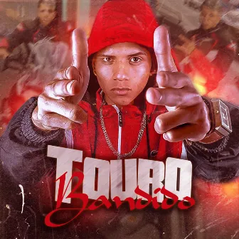 Touro Bandido by MC VS Boladão