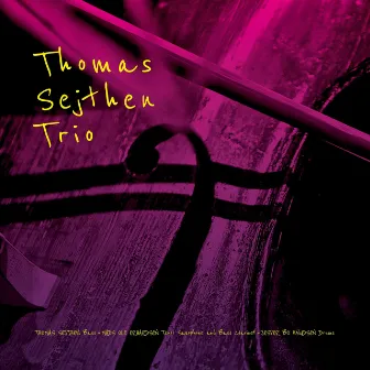 Thomas Sejthen Trio by Thomas Sejthen Trio