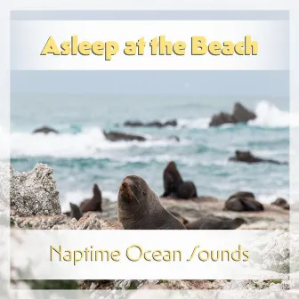 Asleep at the Beach: Naptime Ocean Sounds by Ocean Waves for Meditation