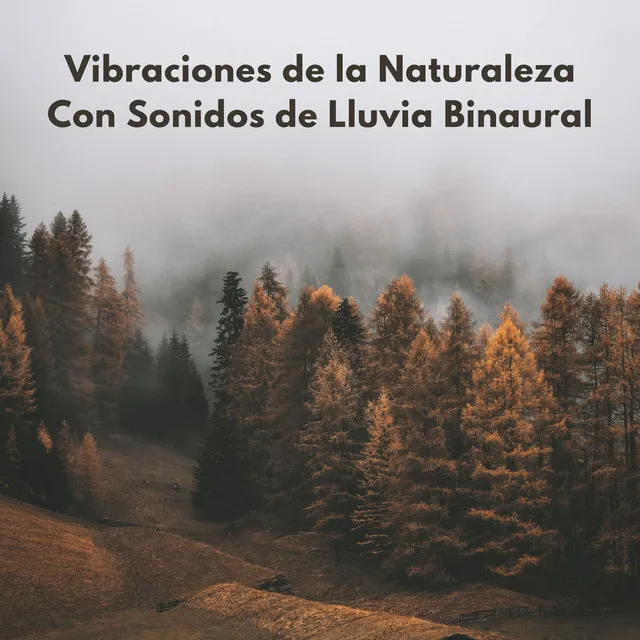 Sinfonía Brumosa De La Naturaleza