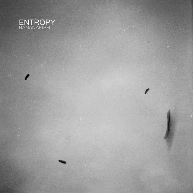 Entropy