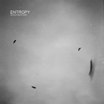 Entropy by Bananafish