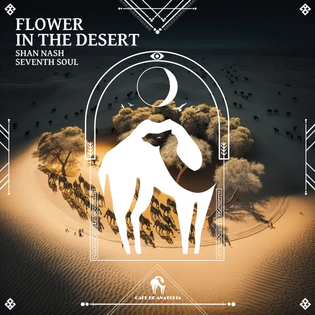 Flower in the Desert