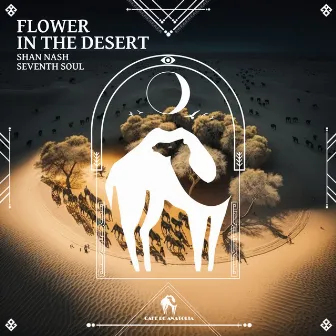 Flower in the Desert by Shan Nash