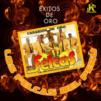 Exitos de oro by Los Felcas del Perú