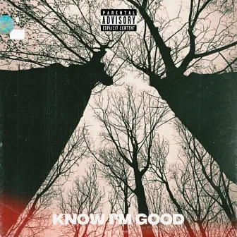 Know I'm Good by Hollow Visions