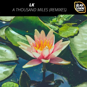 A Thousand Miles (Remixes) by LK