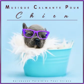 Musique Calmante Pour Chiens: Berceuses Paisibles pour Chiens by Musique pour L'anxiété des Chiens