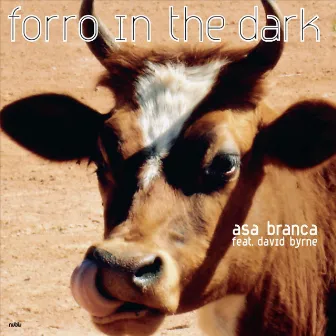 Asa Branca by Forro In The Dark