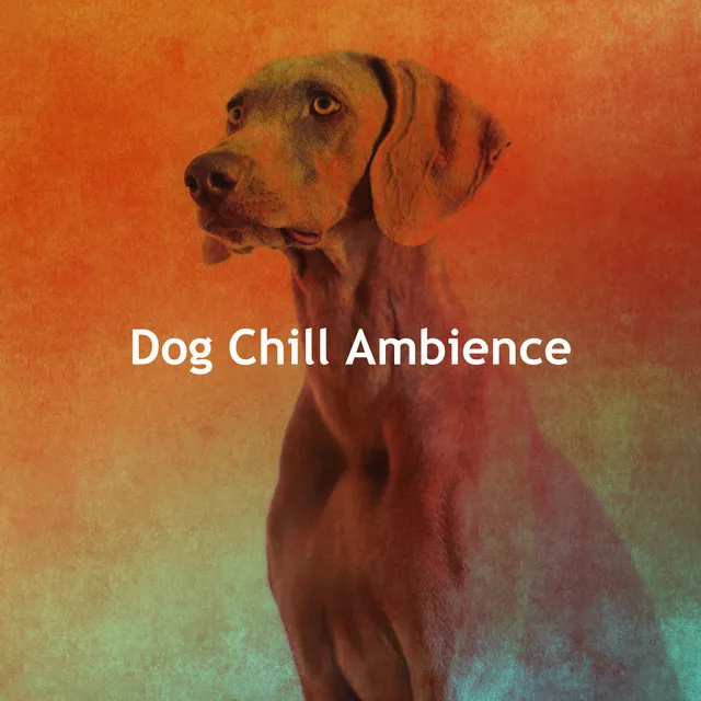 Dog Chill Ambience