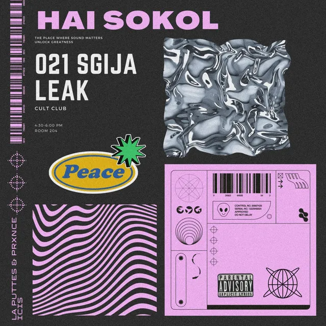 HAI SOKOL - Lost file