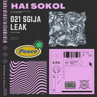 HAI SOKOL (Lost file) by XPENSIVE CLOUT