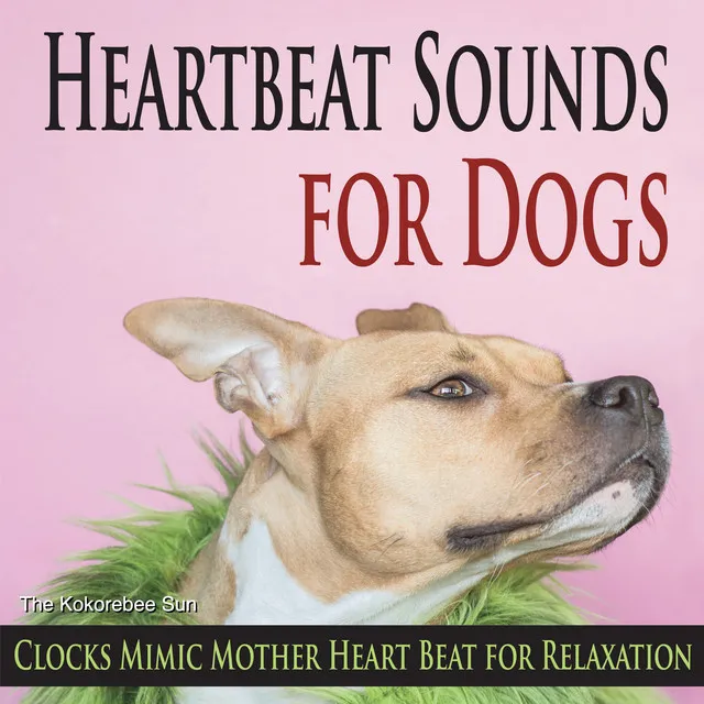 Heartbeats for Dogs & Puppies