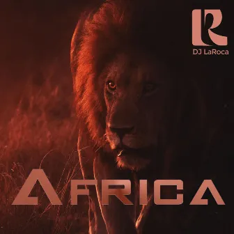 Africa by DJ LaRoca