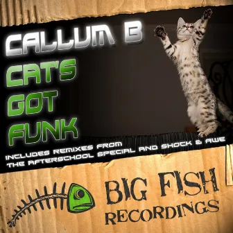 Cat's Got Funk by Callum B