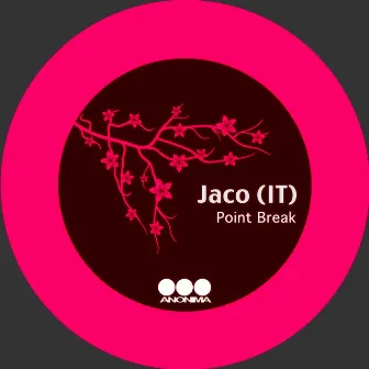 Point Break by Jaco (IT)