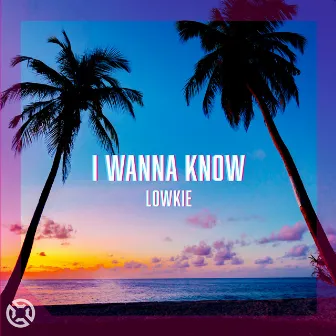 I Wanna Know by Lowkie