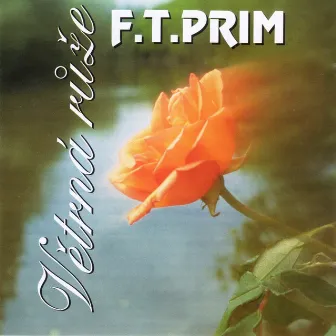 Větrná Růže by F.T.PRIM