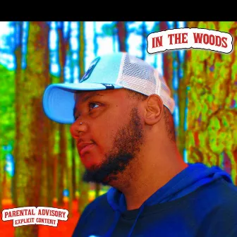 IN THE WOODS (ALBUM) by DeeG