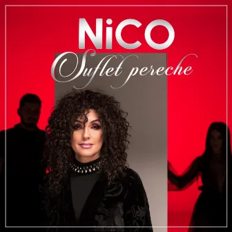 Suflet Pereche by Nico