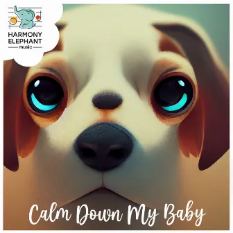 Calm Down My Baby by Dear Child