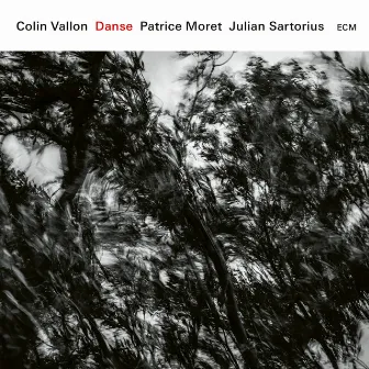 Danse by Colin Vallon