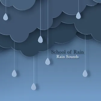 Rain Sounds by Unknown Artist