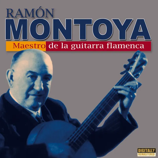 Maestro de la Guitarra Flamenca