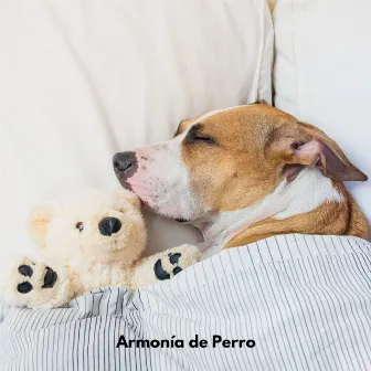 Armonía de Perro by Mascotas Amor Club