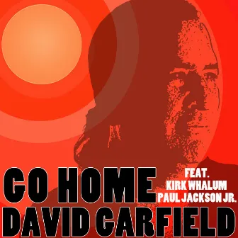 Go Home by David Garfield