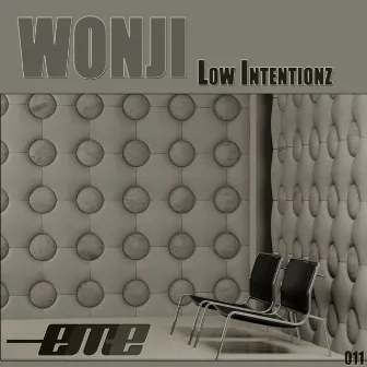 Low Intentionz by Wonji