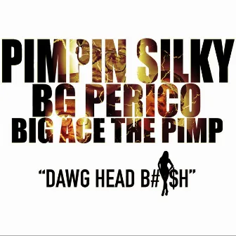 Dawg Head Bitch (feat. Bg Perico & Big Ace the Pimp) by Pimpin Silky